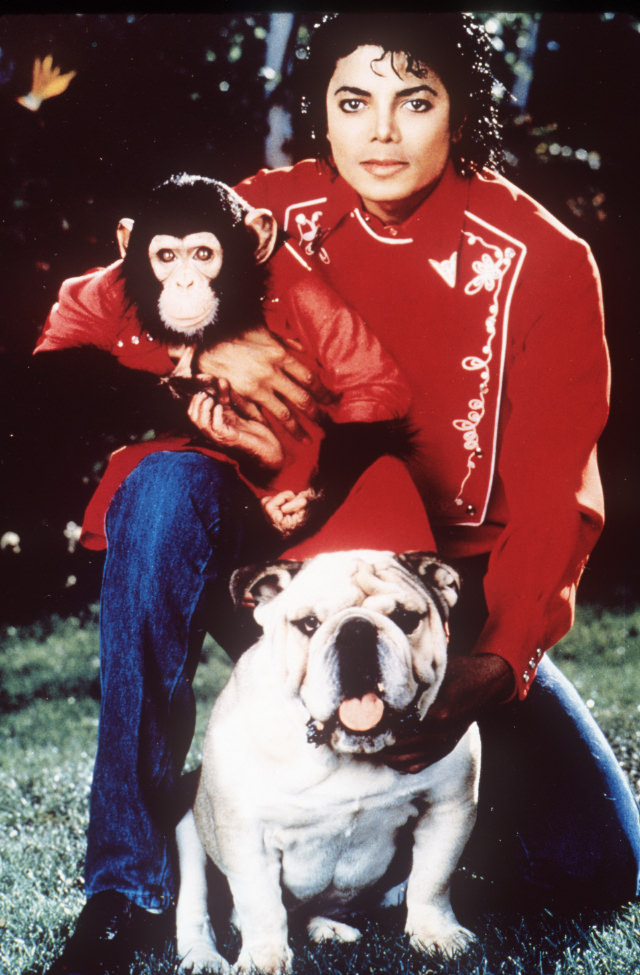 A Pop King and His Primate: The Tale of Michael Jackson and His Pet Chimp, Bubbles Music