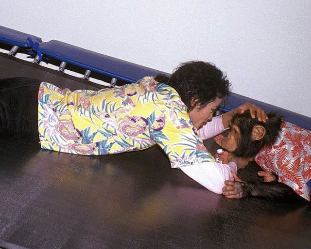 A Pop King and His Primate: The Tale of Michael Jackson and His Pet Chimp, Bubbles Music