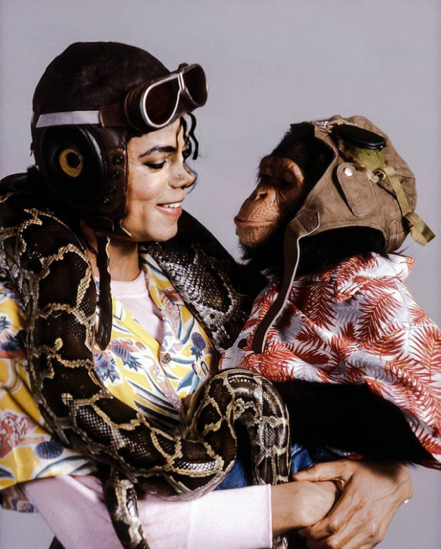 A Pop King and His Primate: The Tale of Michael Jackson and His Pet Chimp, Bubbles Music