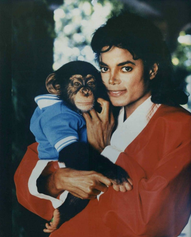 A Pop King and His Primate: The Tale of Michael Jackson and His Pet Chimp, Bubbles Music
