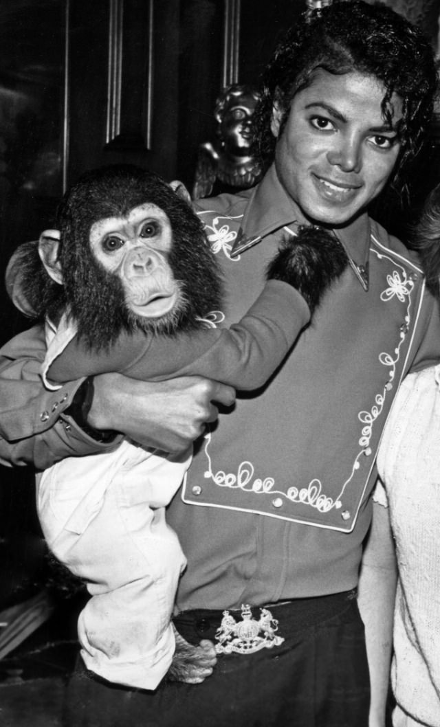 A Pop King and His Primate: The Tale of Michael Jackson and His Pet Chimp, Bubbles Music