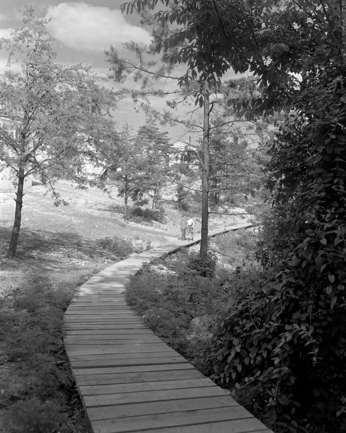 #44 Wooden Pathway in Oak Ridge, Tennessee, 1944.