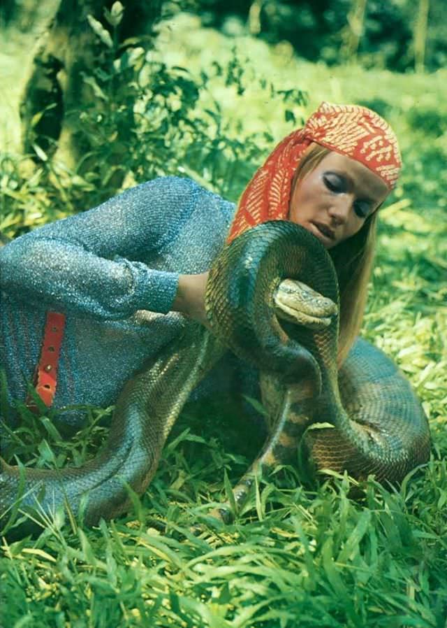 #35 Veruschka in a lurex mini by Dorothée Bis, Columbia, Vogue, 1969