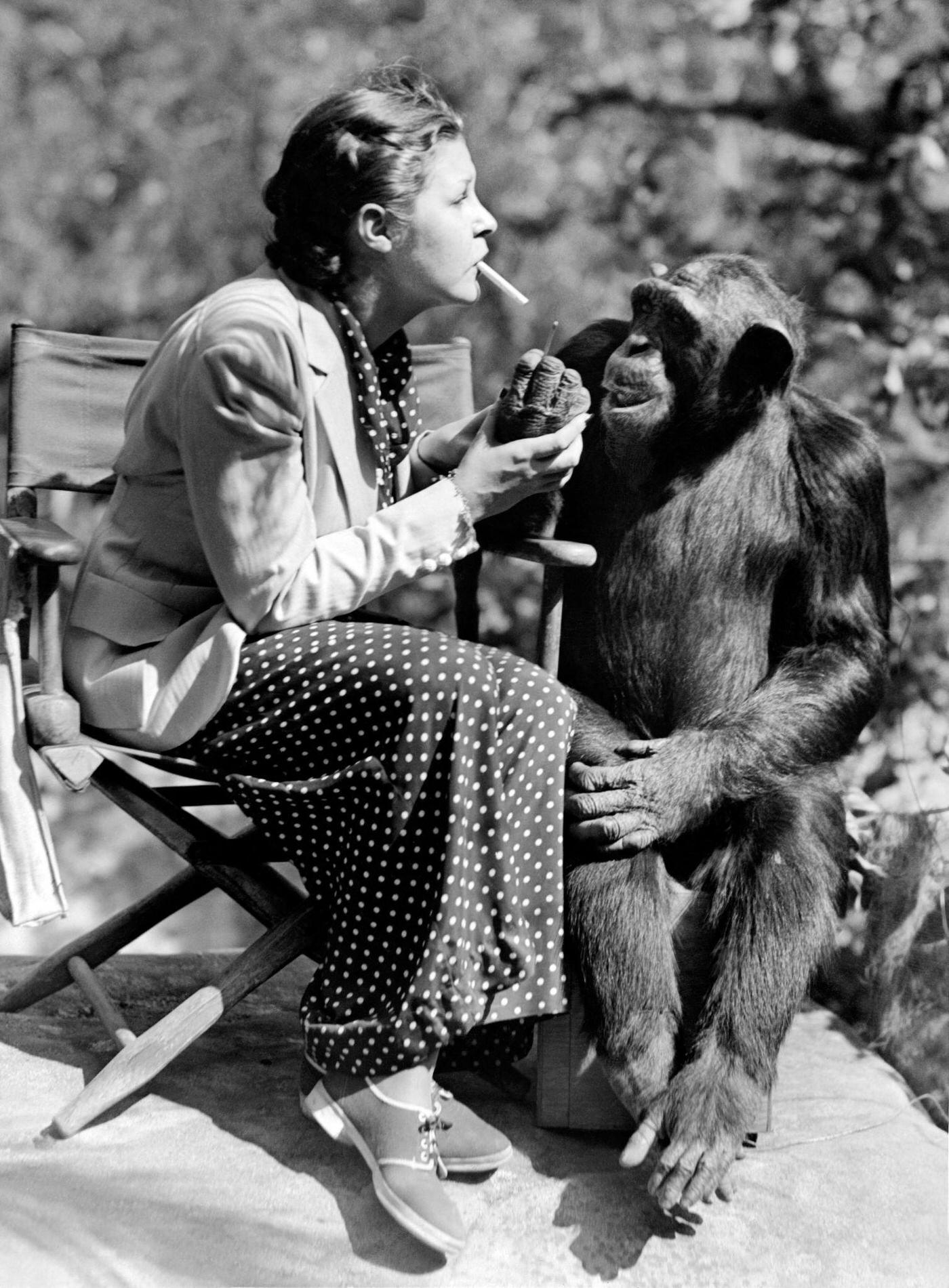 #69 American comic actress Martha Raye pictured with a Chimpanzee on the filming of “The Big Broadcast of 1937”, 1936