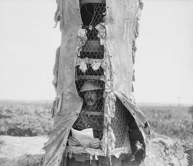 Camouflage Trees: The Silent Observers of World War I WWI