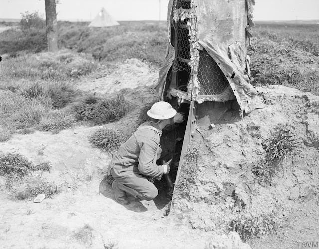 Camouflage Trees: The Silent Observers of World War I WWI