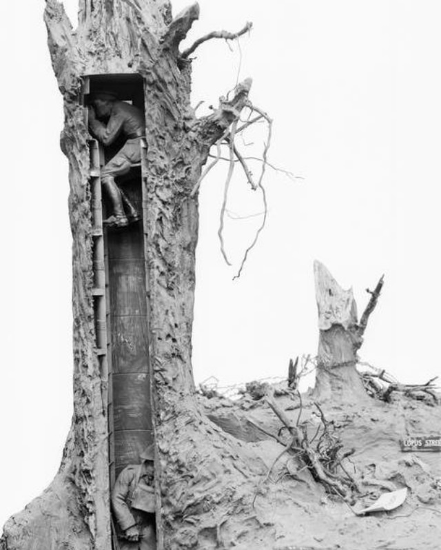 Camouflage Trees: The Silent Observers of World War I WWI