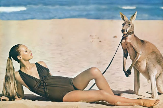 #14 Camilla Sparv in a brown Empire-waist maillot on Wanda Beach, Australia, May 1964