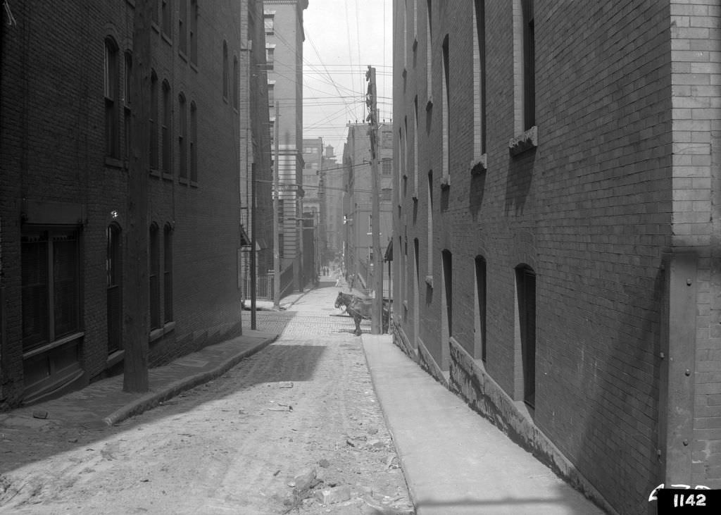 #123 Strawberry Way, west from O’Neil Alley, 1912