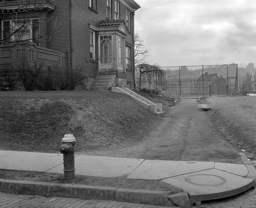 #52 View of Robina Street from the intersection with Sherwood Avenue, 1933