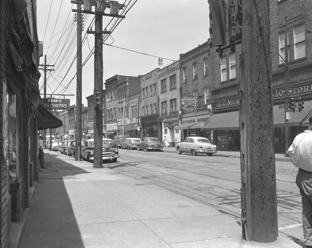 #102 Hazelwood businesses including G.C. Murphy Company and Hazelwood Hardware, 1957