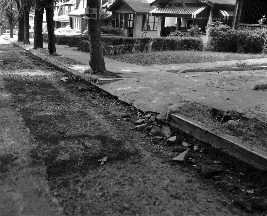 #110 Crumbling driveway on Waldron Street toward Tilbury Avenue, 1956