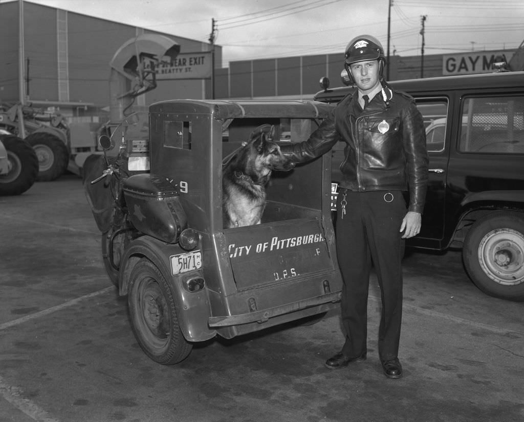 #150 Police Officer with K-9 in East Liberty, 1965