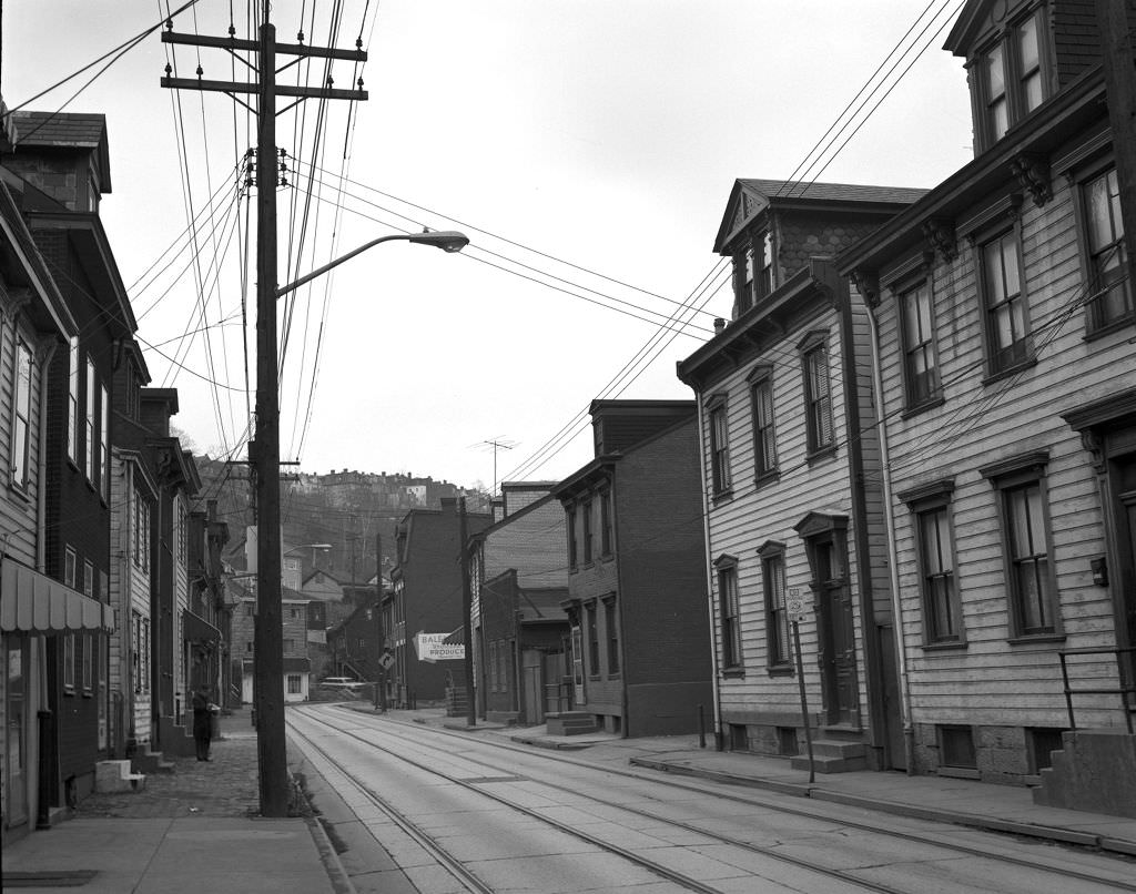 #63 Spring Garden Avenue looking towards Roethlein Way, 1971