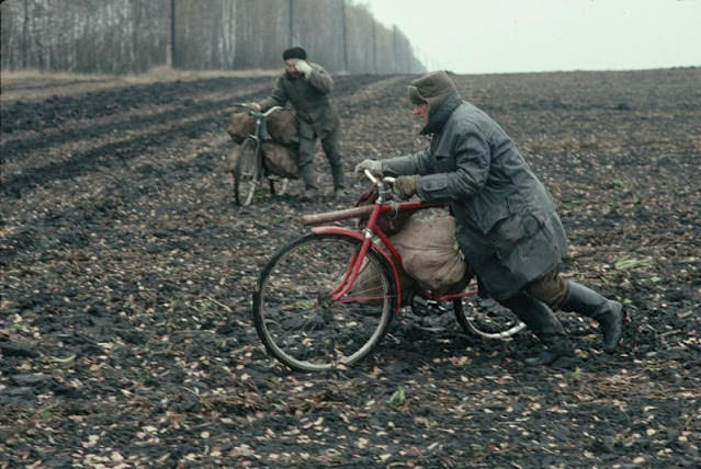 #38 Thieves stealing potatoes, Ukraine, 1991