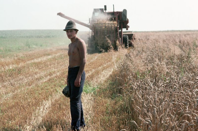 #44 Wheat harvest on collective farm, Lviv, Ukraine, 1991