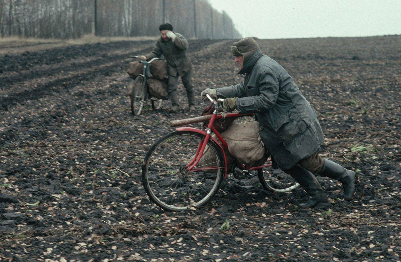 #59 Thieves Stealing Potatoes