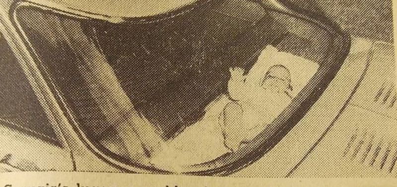 #32 Bunny Bear Booster Seat (1933)