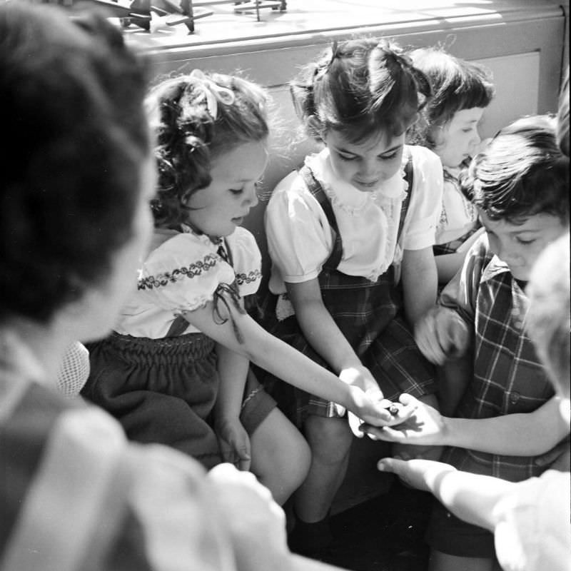 #12 As their instruction begins in 1948, students at the Lucy D. Anthony school examine a small turtle