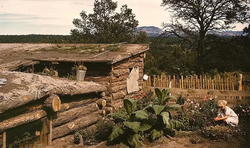 #19 Homesteader’s garden in Pie Town, NM, 1940.