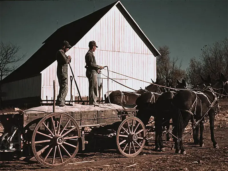 #20 Fertilizer wagon on an arid farm, circa 1940.
