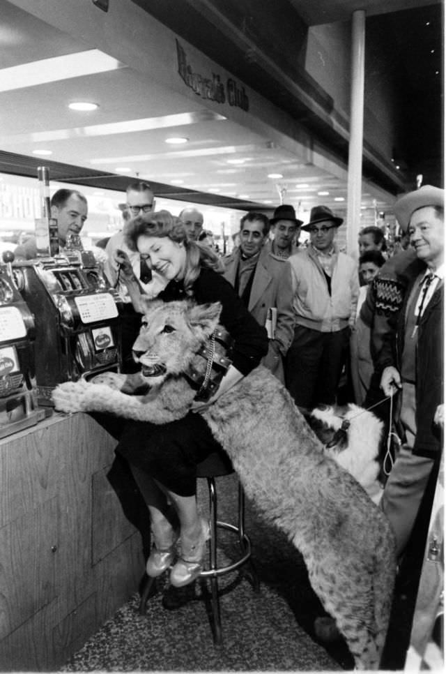 #15 Crowd watches a woman pet a lion cub in Nevada, 1959.