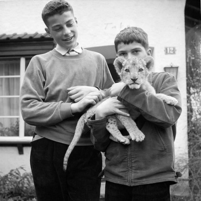 #17 Two boys walk their pet lion in Zug, Switzerland, 1959.