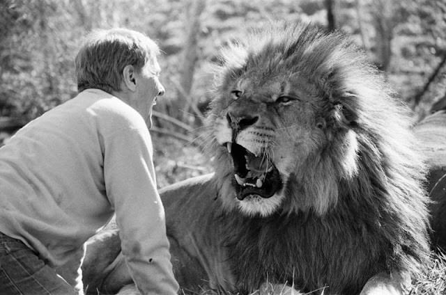 #24 Noel Marshall at his San Fernando Valley animal compound, 1982.