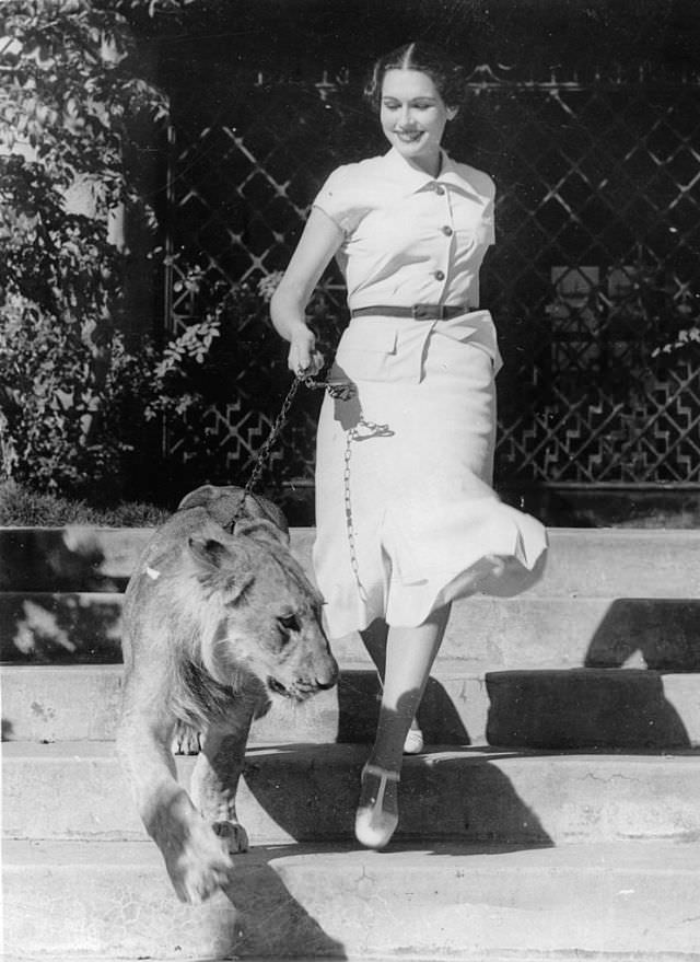 #7 Actress Gloria Youngblood poses with her lion, 1937.
