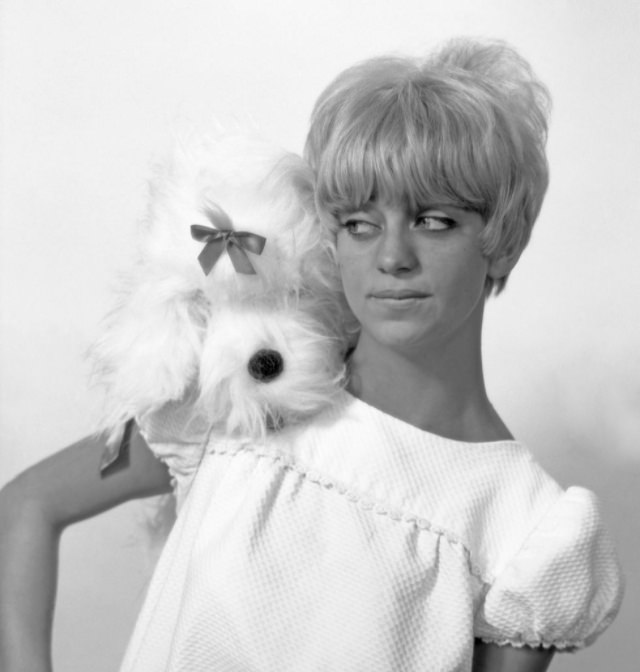 #18 Goldie Hawn and Her Signature Short Hairstyle in the Swinging Sixties #18 Celebrities