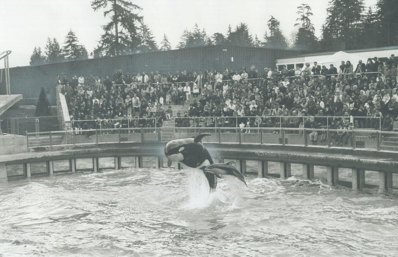 #16 New Aquarium acts with killer whales and porpoises, Stanley Park, Vancouver, 1970.