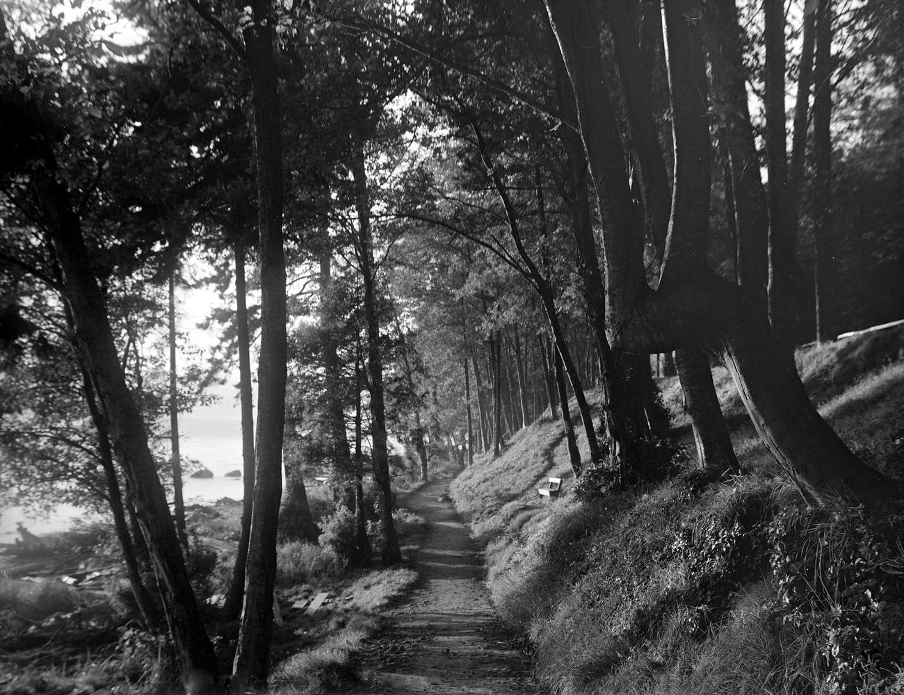 #5 ‘A Devon Lane’ in Stanley Park, Vancouver, 1912.