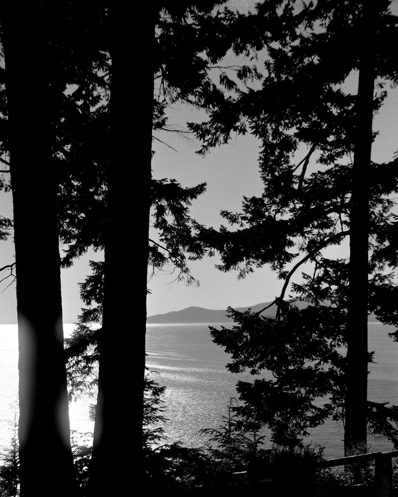 #8 View across English Bay to Point Atkinson, Stanley Park, Vancouver, 1912.