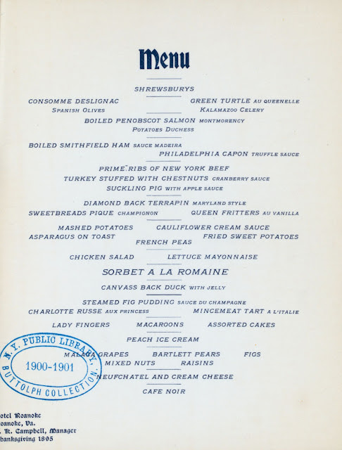 #6 Hotel Roanoke, 1895
