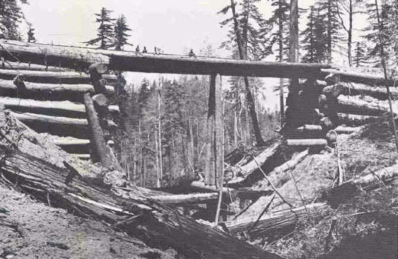 #10 Homemade log bridge with men atop, showcasing height and log diameter.