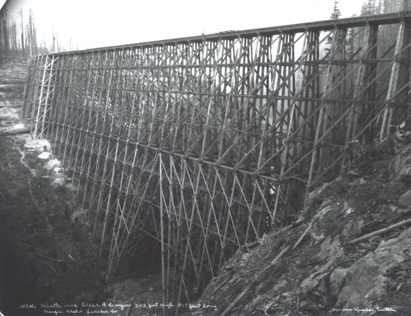 #11 Cedar River Logging Trestle, 203 feet high, Washington State.