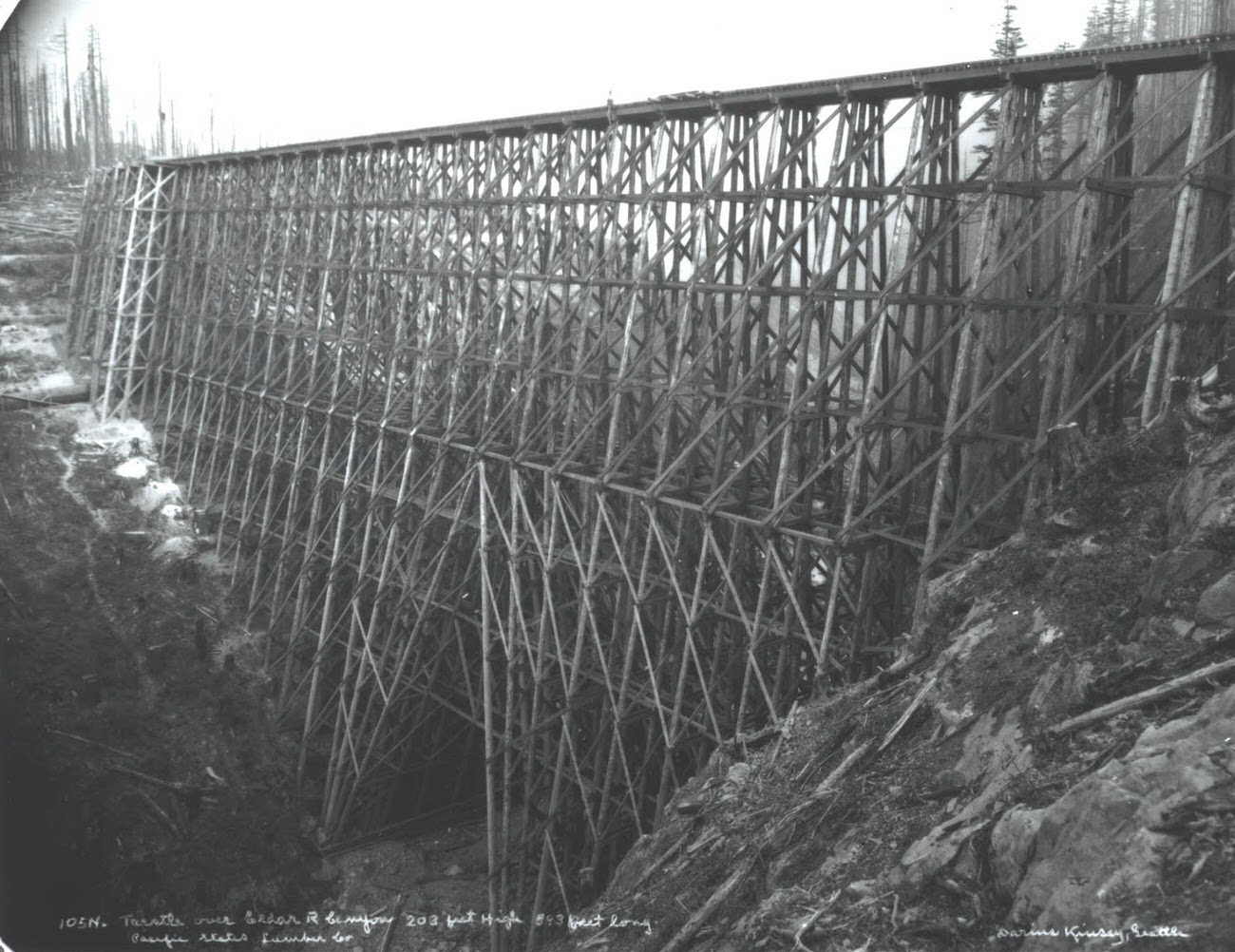 #23 Cedar River logging trestle, 203 feet high & 843 feet long, Washington State, 1917.