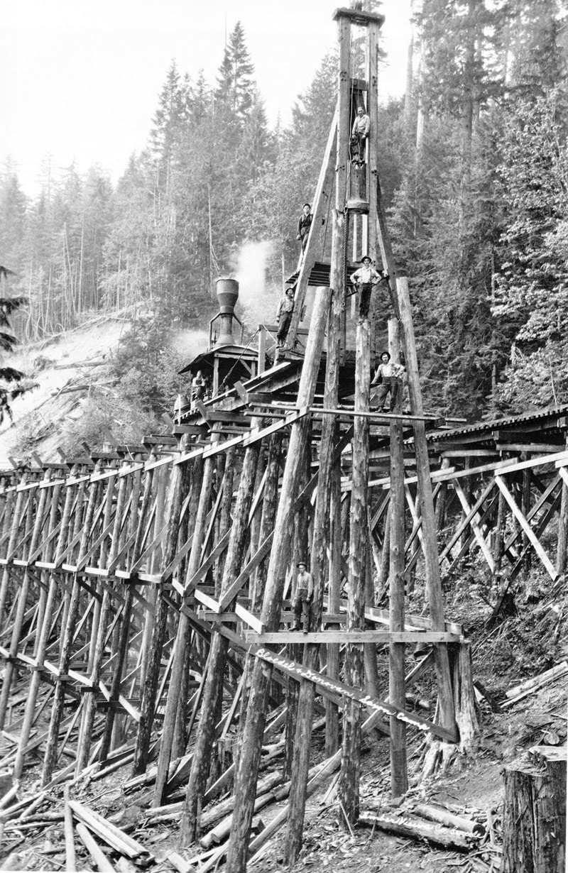 #24 Cedar River logging trestle, alternate view.