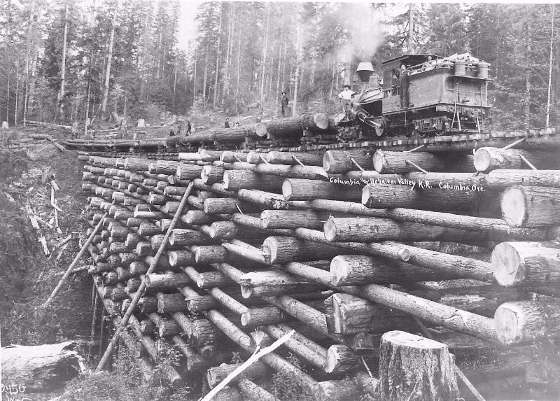 #8 Crib trestle bridge of Columbia & Nehalem Valley Railroad at McBride Creek, circa 1905.