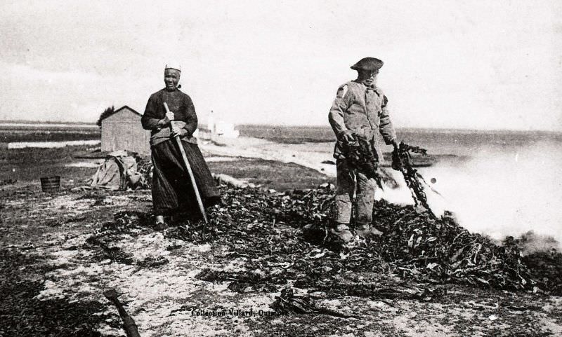 #17 Seaweed burners in Langon, Loctudy.