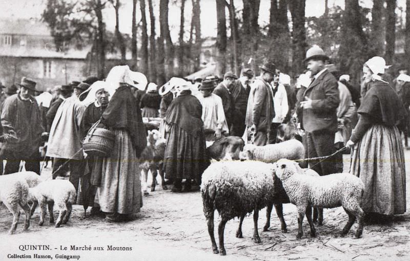 #26 Sheep market in Quintin.
