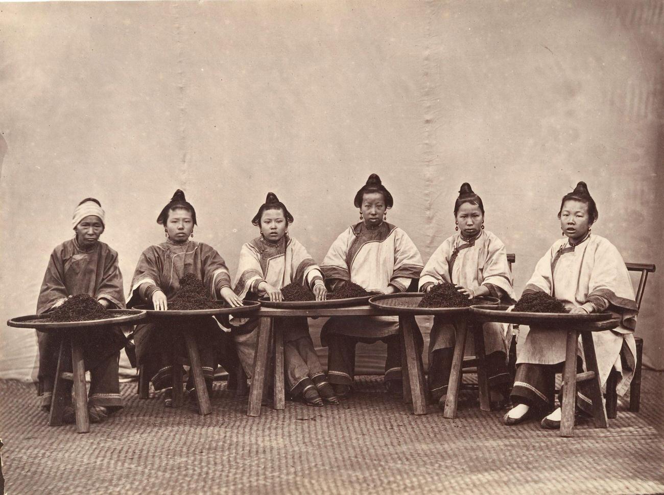 #14 Culling Tea, 1869, a work attributed to Lai Fong.