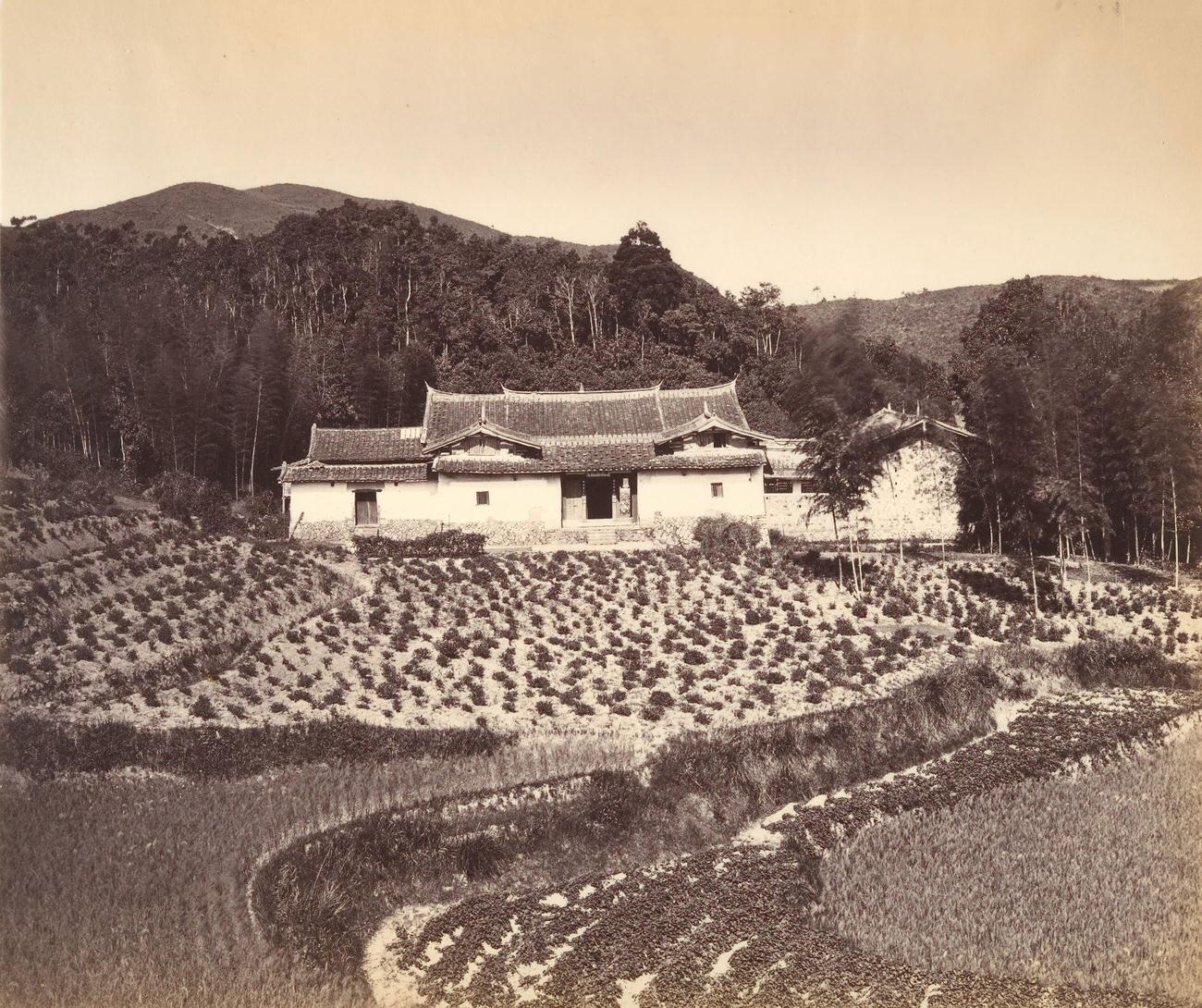 #20 Teafield & Josshouse at Peling, 1869