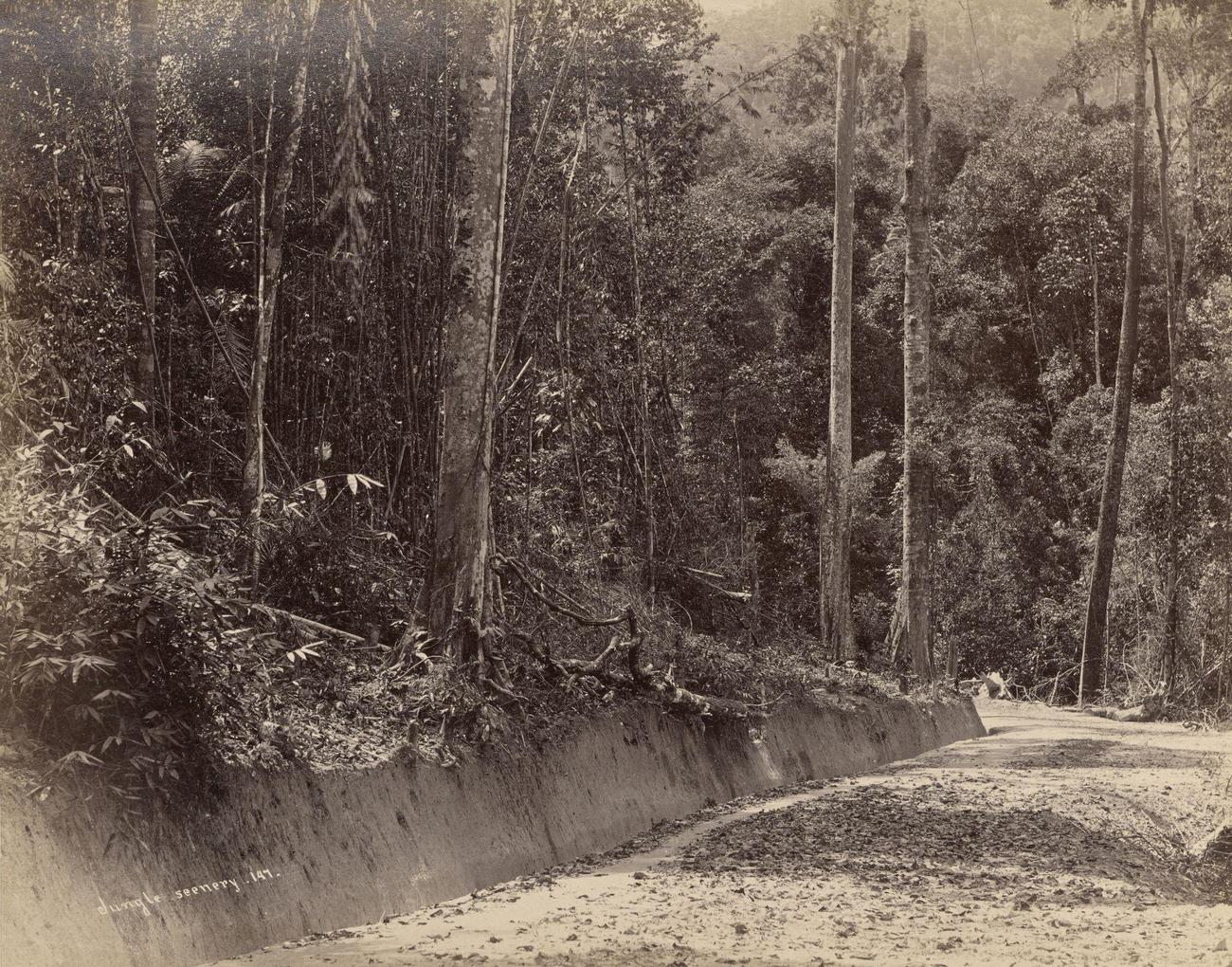 #60 Malay Peninsula, 1870s