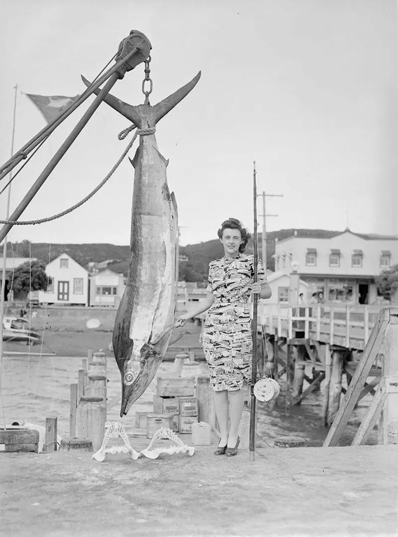 #10 Spearfish and two fish jaws, 1940s.