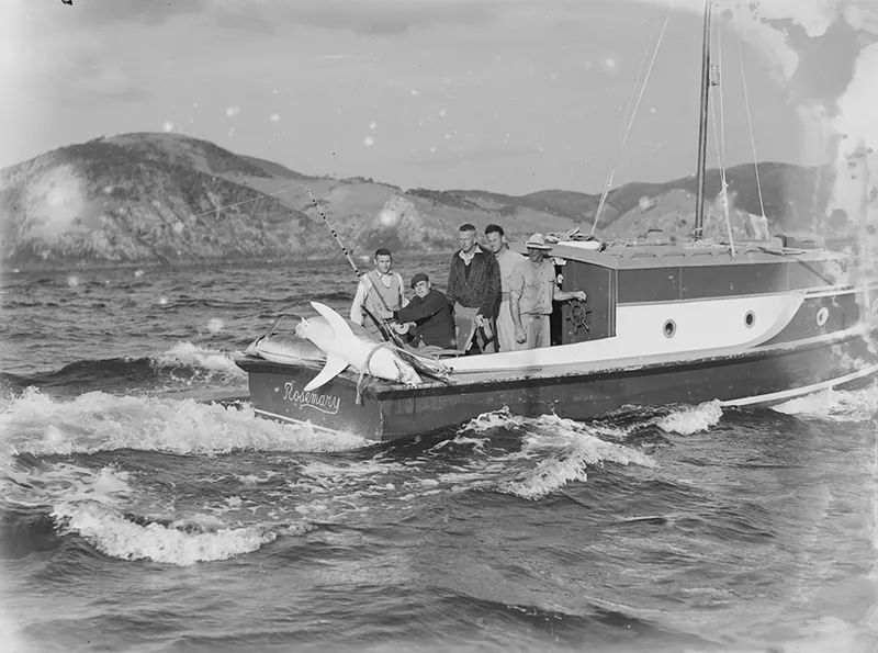 #18 “Rosemary” boat with large sport fish, 1939.