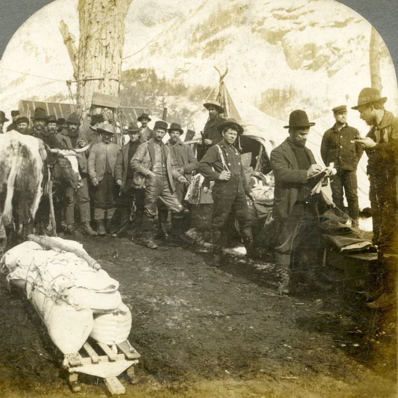 #98 The Big Tree Store on the trail from Chilkoot Pass to Lake Linderman, Alaska.