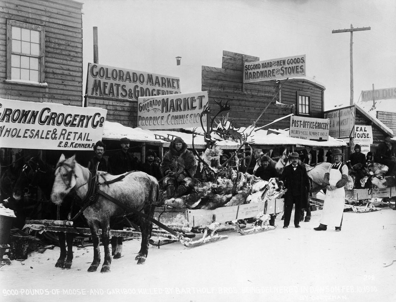 #9 Delivery of a sled full of moose and caribou in Dawson, Alaska, during the Gold Rush, 1900.