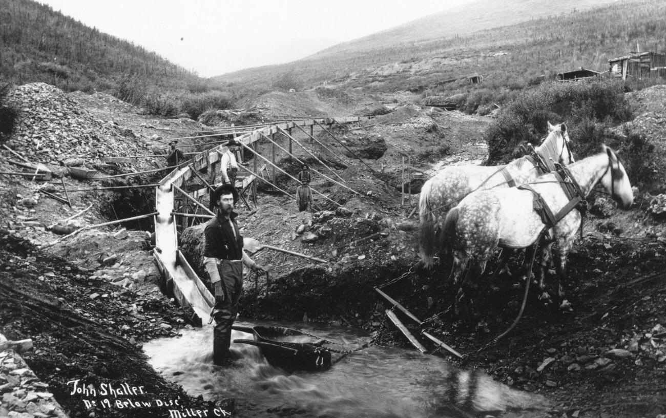 #16 Gold prospectors panning for alluvial gold below Disc’ Miller Creek in the Klondike, Canada, 1895.