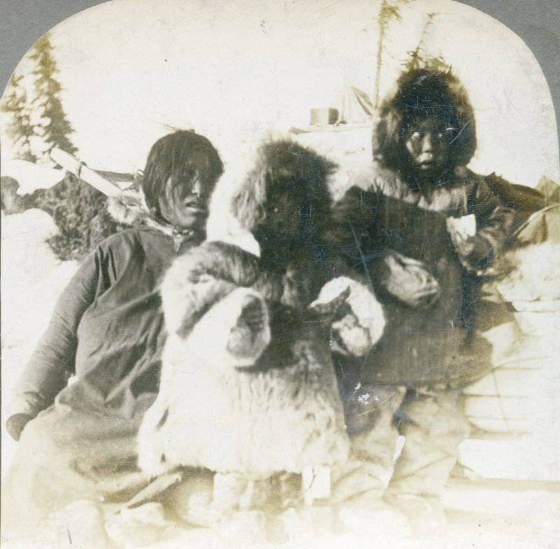 #90 A group of Malamuts in Allenkaket, Alaska.